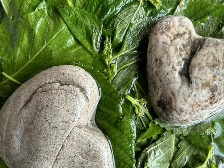 깻잎순장아찌 완성 사진