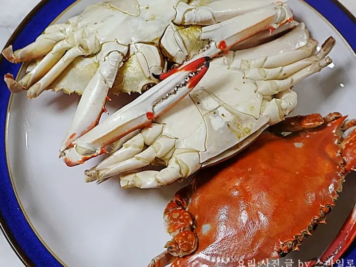 꽃게찜 완성 사진
